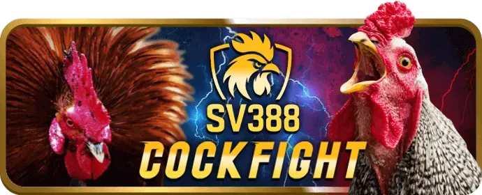 Cá cược bóng đá gp88